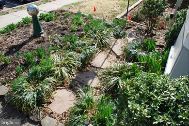 6558 Ducketts Ln, Elkridge, MD 21075 - photo 4