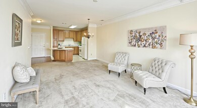 Mill Crossing unit 302, Frederick, MD 21702 - photo 6