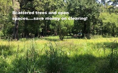 426 SW Santa fe Dr, Fort White, FL 32038 - photo 3