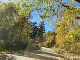 0 Primrose Hill Rd unit KEY827553, Red Hook, NY 12572 - photo 4