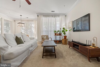 1724 Osage St unit 304, Alexandria, VA 22302 - photo 6