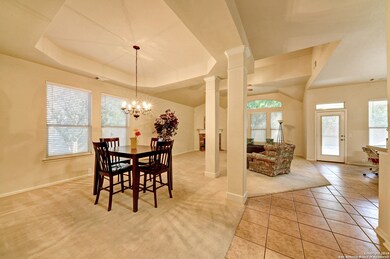 10502 Canyon River, Helotes, TX 78023 - photo 3