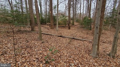 12019 Fair Hill Ln, Manassas, VA 20112 - photo 3