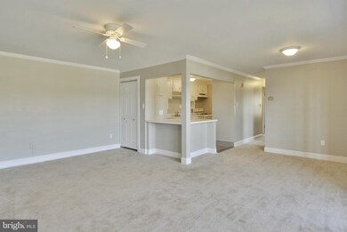 12711 Gordon Blvd unit 79, Woodbridge, VA 22192 - photo 6