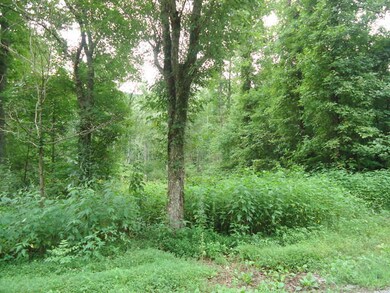 1-DSC00007