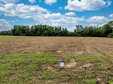 TBD Lot B6 Mount Olive Church Rd, Nichols, SC 29581 - photo 6