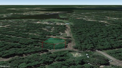 0 Tahiti Rd unit Jefferson TX 75657, Pine Harbor, TX 75657 - photo 5