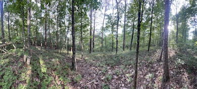 1063 Mayfield Ln NE, Ranger, GA 30734 - photo 3