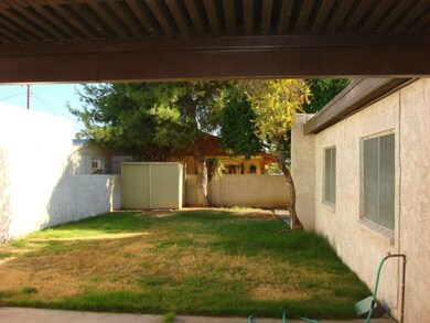 Large Grassy Backyard with Citrus Trees