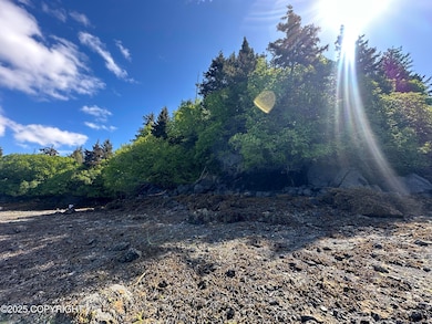 L5A Halibut Cove