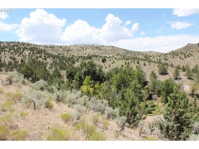 28868 S Fork Rd, Dayville, OR 97825 - photo 7