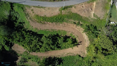 KM 4.2 Bo Carrizal unit Solar 1, Aguada, PR 00602 - photo 4