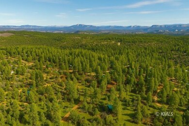 AI Enhanced Scenic Overview