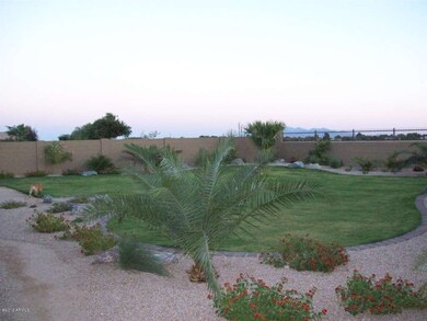 back yard
