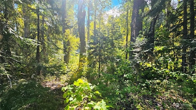 0 20&22 Middle Fork Ln, Cle Elum, WA 98922 - photo 4