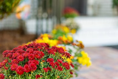 918 5th Ave, Albany, GA 31701 - photo 5