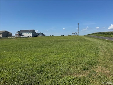 3402 Arbor View Ct, Freeburg, IL 62243 - photo 5