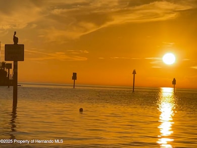 4502 Bahama Dr, Hernando Beach, FL 34607 - photo 6