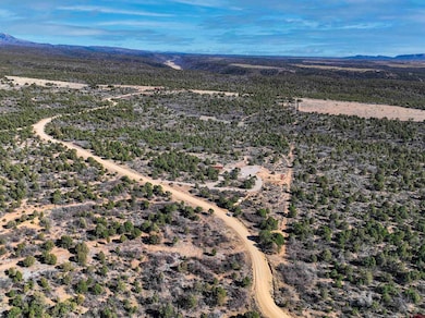 1657 De Oro Way, Hesperus, CO 81326 - photo 2