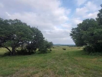 47 Cottonwood Mesa Dr, Kempner, TX 76539 - photo 4