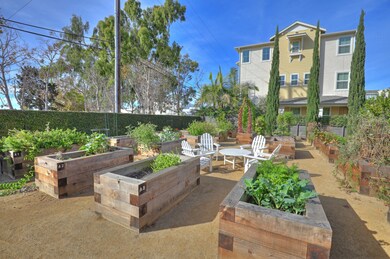 Community Garden