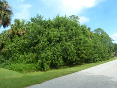 Wider view of lot from South East Corner