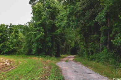 36.2 Acres Privetts Rd unit 36.20 Acres, W/20' R, Conway, SC 29526 - photo 7
