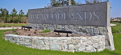 97 Cedar Hammock Trail, the Woodlands, TX 77375 - photo 6