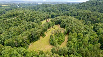 4448 Old Mineral Springs Rd, La Fayette, GA 30728 - photo 5