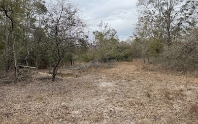 TBD SW 57th Trail, Jasper, FL 32052 - photo 4