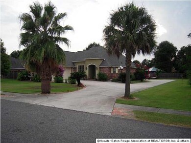 Great Palms!
