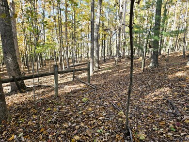 4acs Reid Rd, Lexington, VA 24450 - photo 5