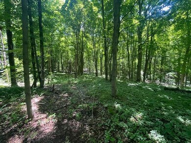 wooded