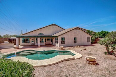 Pool and backyard