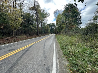 0 Sandy Plains Rd, East Bethlehem Township, PA 15322 - photo 3