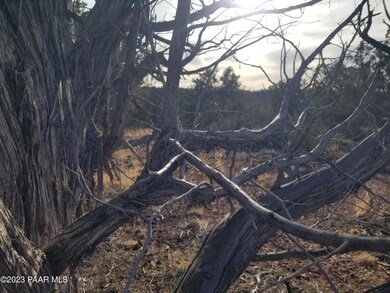 197bcd Off Indigo Way, Ash Fork, AZ 86320 - photo 2