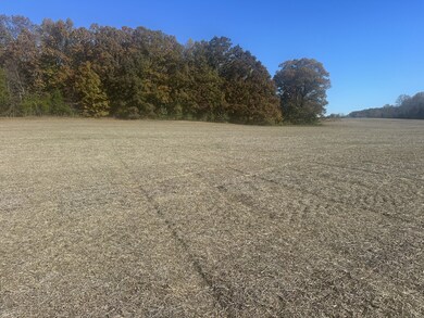 0 Petty Rd, Sparta, TN 38583 - photo 4