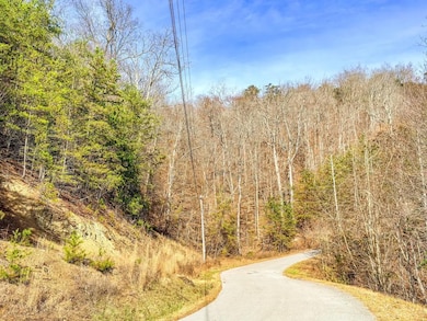 0 Wildcat Hollow Rd unit 25658914, New Tazewell, TN 37825 - photo 5