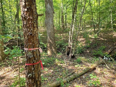 00 Grassy Knob Rd unit 10, Pilot Mountain, NC 27041 - photo 2