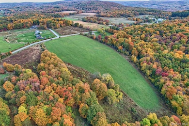 1830 Bruzgul Rd, Lagrangeville, NY 12540 - photo 3