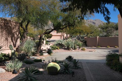 Front Yard