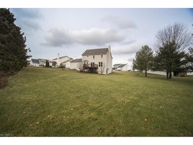 Large back yard.