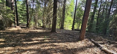 91 Wildwood Ranch Rd, Wildwood, CA 96076 - photo 2