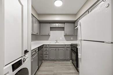 Plenty of storage cabinets with refrigerator, wash