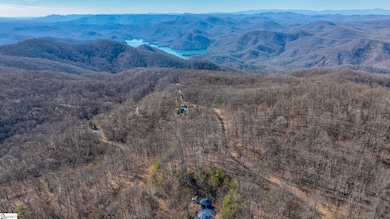 00 Wild Ginger Rd, Landrum, SC 29356 - photo 7