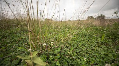 00000 160th Rd unit X4 Rd, Denison, KS 66419 - photo 4