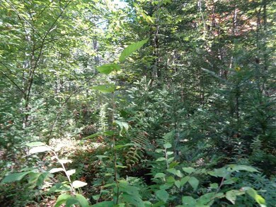 0 E Colebrook Rd, Colebrook, NH 03576 - photo 3