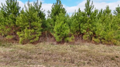 Vacant Cox Rd, Quincy, FL 32351 - photo 6