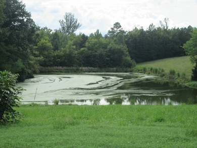 1104 Bethel Trail, South Boston, VA 24592 - photo 7