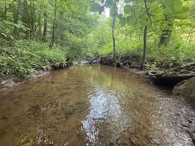 1 Sycamore Fork Rd, Salyersville, KY 41465 - photo 2